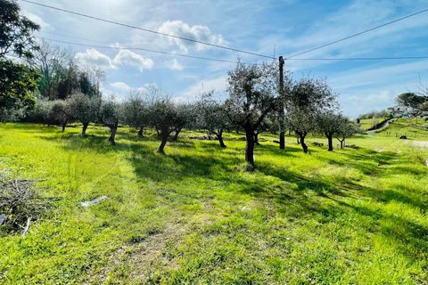 Landejendom i Roccasecca, Frosinone, Roccasecca - € 49.000 | Ref: AC99-149-1233 - foto 10
