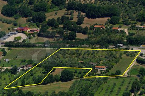 Landejendom i Prossedi, Latina, Prossedi - € 239.000 | Ref: AC99-149-1276 - foto 7