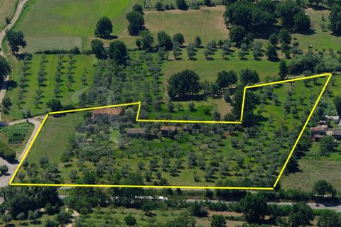 Landejendom i Prossedi, Latina, Prossedi - € 239.000 | Ref: AC99-149-1276 - foto 8