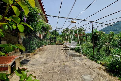 Landejendom i Prossedi, Latina, Prossedi - € 239.000 | Ref: AC99-149-1276 - foto 26