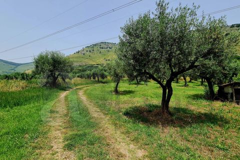 Landejendom i Prossedi, Latina, Prossedi - € 239.000 | Ref: AC99-149-1276 - foto 27