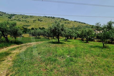 Landejendom i Prossedi, Latina, Prossedi - € 239.000 | Ref: AC99-149-1276 - foto 28