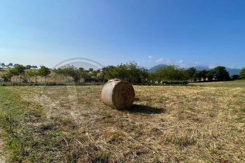 Landejendom i Pontecorvo, Frosinone, Pontecorvo - € 40.000 | Ref: AC99-149-1279 - foto 4