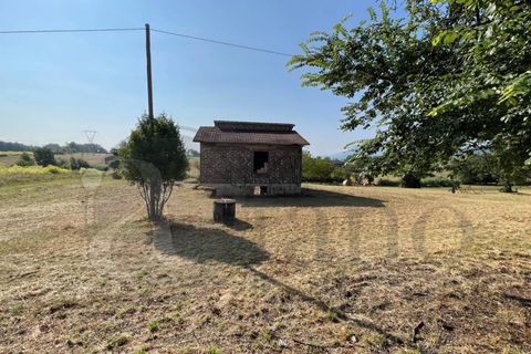 Landejendom i Pontecorvo, Frosinone, Pontecorvo - € 40.000 | Ref: AC99-149-1279 - foto 6