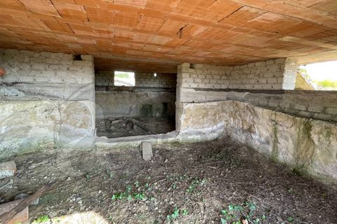 Landejendom i Pontecorvo, Frosinone, Pontecorvo - € 40.000 | Ref: AC99-149-1279 - foto 17