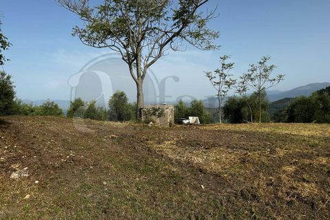 Landejendom i Rocca d'Arce, Frosinone, Rocca d'Arce - € 60.000 | Ref: AC99-149-1352 - foto 8