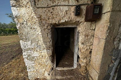 Landejendom i Rocca d'Arce, Frosinone, Rocca d'Arce - € 60.000 | Ref: AC99-149-1352 - foto 21