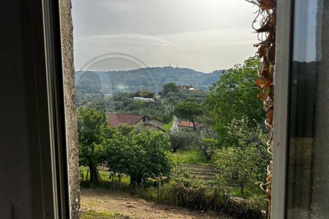 Landejendom i Rocca d'Arce, Frosinone, Rocca d'Arce - € 60.000 | Ref: AC99-149-1352 - foto 25