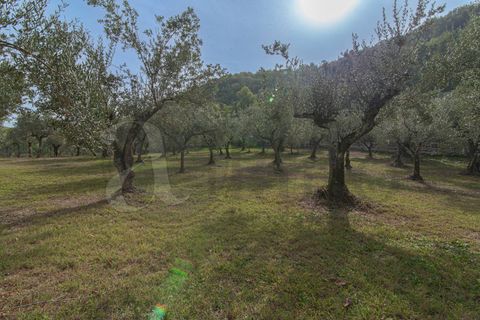 Villa i Falvaterra, Frosinone, Falvaterra - € 340.000 | Ref: AC99-149-1356 - foto 9