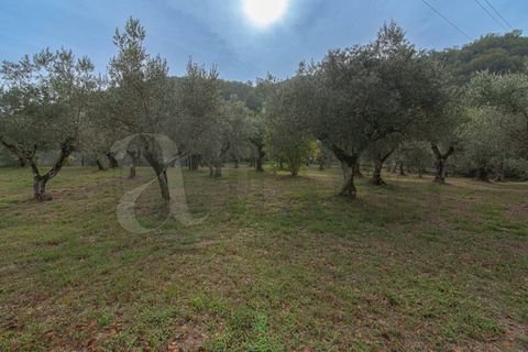 Villa i Falvaterra, Frosinone, Falvaterra - € 340.000 | Ref: AC99-149-1356 - foto 10