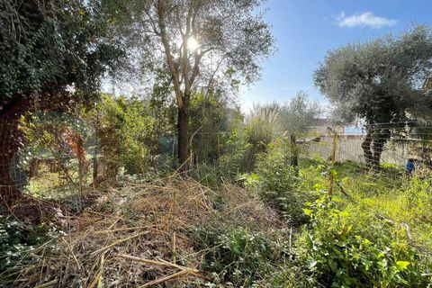 Landejendom i Roccasecca, Frosinone, Roccasecca - € 35.000 | Ref: AC99-149-1380 - foto 27