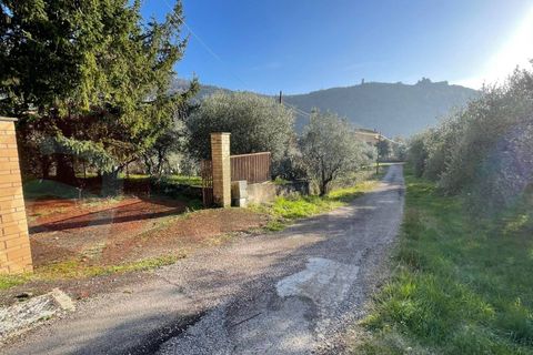 Villa a Roccasecca, Frosinone, Roccasecca - € 133.000 | Ref: AC99-149-1385 - foto 4