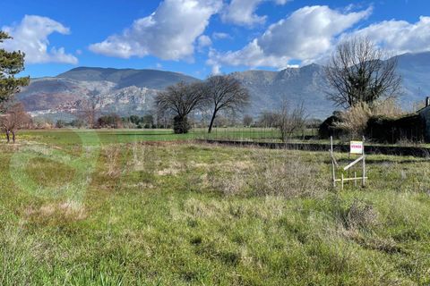 Terra a Roccasecca, Frosinone, Roccasecca - € 40.000 | Ref: AC99-149-1410 - foto 3