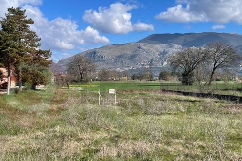 Terra a Roccasecca, Frosinone, Roccasecca - € 40.000 | Ref: AC99-149-1410 - foto 4