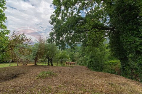 Villa a Arpino, Frosinone, Arpino - € 70.000 | Ref: AC99-149-1455 - foto 13