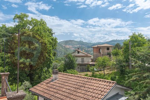 Villa a Arpino, Frosinone, Arpino - € 70.000 | Ref: AC99-149-1455 - foto 36