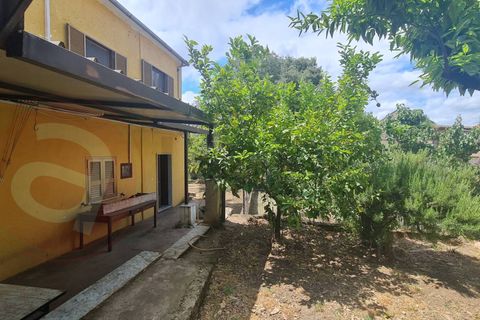 Villa i Castrocielo, Frosinone, Castrocielo - € 65.000 | Ref: AC99-149-1465 - foto 21