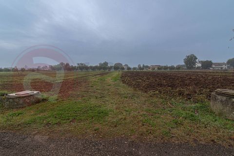 Villa i Castrocielo, Frosinone, Castrocielo - € 189.000 | Ref: AC99-149-1471 - foto 10
