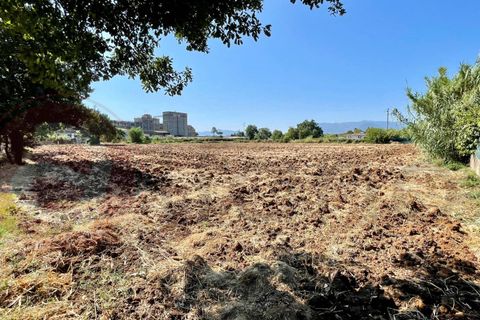 Helårsgrund i Castrocielo, Frosinone, Castrocielo - € 130.000 | Ref: AC99-149-1472 - foto 3