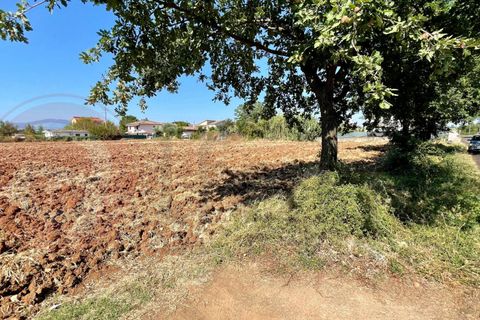 Helårsgrund i Castrocielo, Frosinone, Castrocielo - € 130.000 | Ref: AC99-149-1472 - foto 5