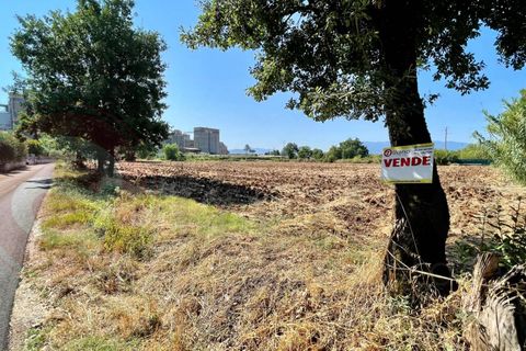 Helårsgrund i Castrocielo, Frosinone, Castrocielo - € 130.000 | Ref: AC99-149-1472 - foto 8