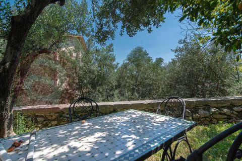 Landejendom i Arpino, Frosinone, Arpino - € 169.000 | Ref: AC99-149-1494 - foto 33