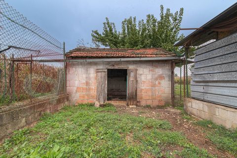 Villa i Pontecorvo, Frosinone, Pontecorvo - € 178.000 | Ref: AC99-149-1500 - foto 36