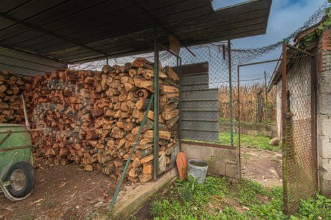 Villa i Pontecorvo, Frosinone, Pontecorvo - € 178.000 | Ref: AC99-149-1500 - foto 37