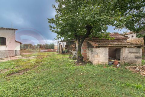 Villa i Pontecorvo, Frosinone, Pontecorvo - € 178.000 | Ref: AC99-149-1500 - foto 38