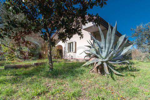 Villa i Alatri, Frosinone, Alatri - € 280.000 | Ref: AC99-149-1516 - foto 3
