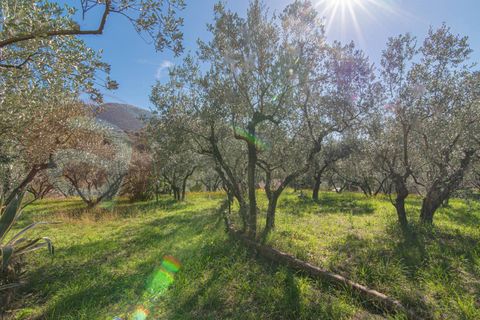 Villa i Alatri, Frosinone, Alatri - € 280.000 | Ref: AC99-149-1516 - foto 33
