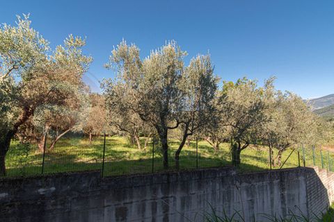 Villa i Alatri, Frosinone, Alatri - € 280.000 | Ref: AC99-149-1516 - foto 37