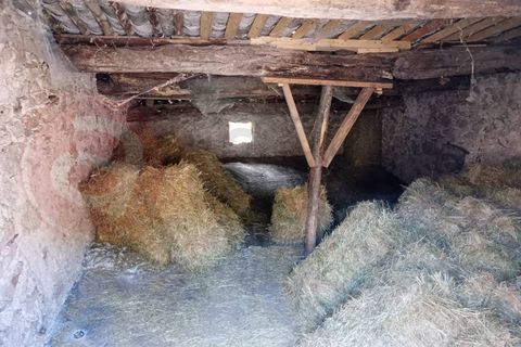 Landejendom i Alvito, Frosinone, Alvito - € 35.000 | Ref: AC99-149-1527 - foto 7