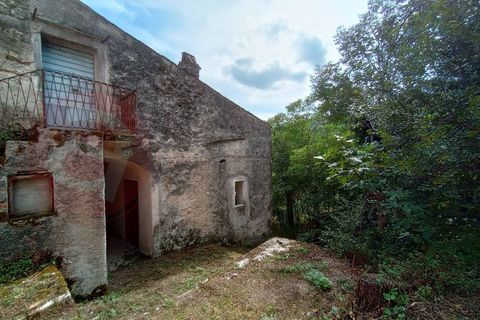 Landejendom i Alvito, Frosinone, Alvito - € 35.000 | Ref: AC99-149-1527 - foto 19