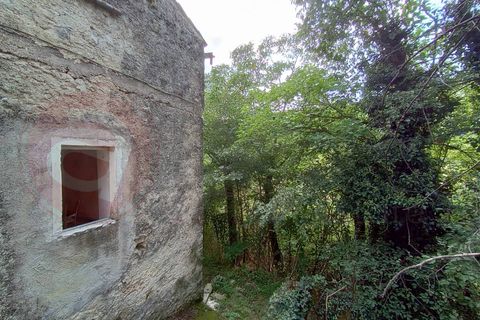 Landejendom i Alvito, Frosinone, Alvito - € 35.000 | Ref: AC99-149-1527 - foto 25