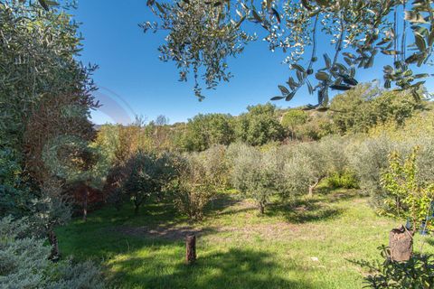 Villa i Alatri, Frosinone, Alatri - € 219.000 | Ref: AC99-149-1531 - foto 14