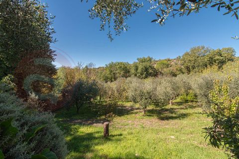 Villa i Alatri, Frosinone, Alatri - € 219.000 | Ref: AC99-149-1531 - foto 44