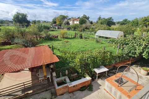 Villa i Roccasecca, Frosinone, Roccasecca - € 88.000 | Ref: AC99-149-1534 - foto 27