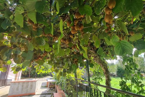 Villa i Roccasecca, Frosinone, Roccasecca - € 88.000 | Ref: AC99-149-1534 - foto 36
