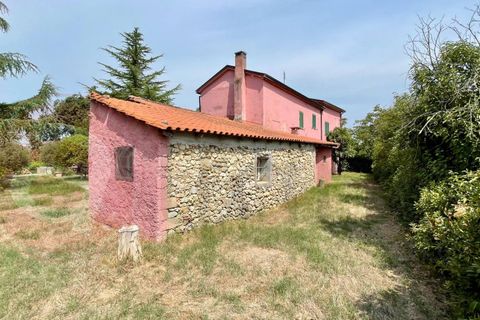 Landejendom i Pontecorvo, Frosinone, Pontecorvo - € 129.000 | Ref: AC99-149-1543 - foto 5