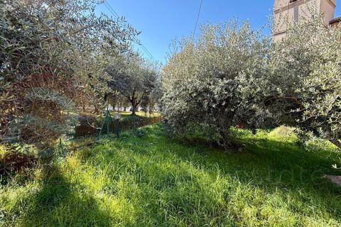 Villa a Roccasecca, Frosinone, Roccasecca - € 138.000 | Ref: AC99-149-1564 - foto 22