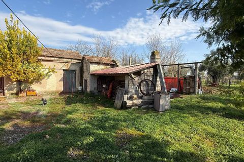 Villa a Roccasecca, Frosinone, Roccasecca - € 83.000 | Ref: AC99-149-1573 - foto 31