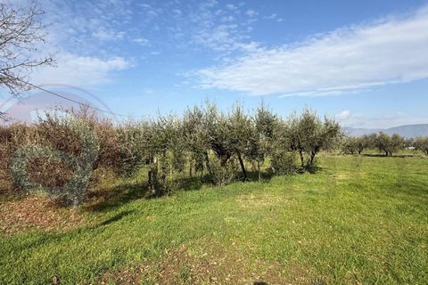 Villa a Roccasecca, Frosinone, Roccasecca - € 83.000 | Ref: AC99-149-1573 - foto 32