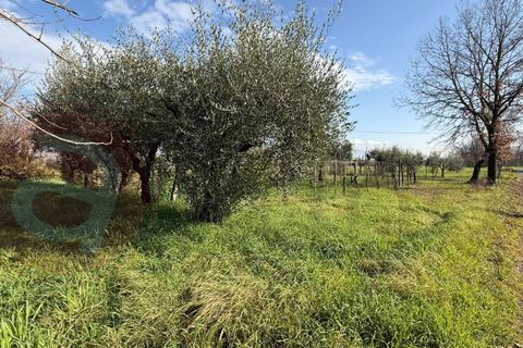 Villa a Roccasecca, Frosinone, Roccasecca - € 83.000 | Ref: AC99-149-1573 - foto 33