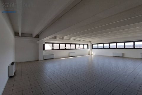 Erhvervsejendom i Treviso, Treviso, Treviso - € 598.000 | Ref: 239 - foto 4