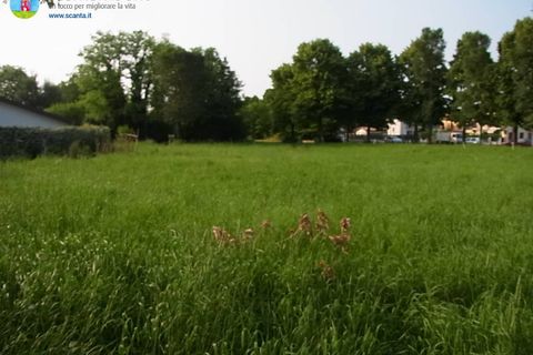 Helårsgrund i Treviso, Treviso, Treviso - € 1.300.000 | Ref: 374 - foto 7