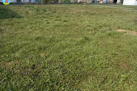 Terra a Carbonera, Treviso, Carbonera - € 70.000 | Ref: 581 - foto 3