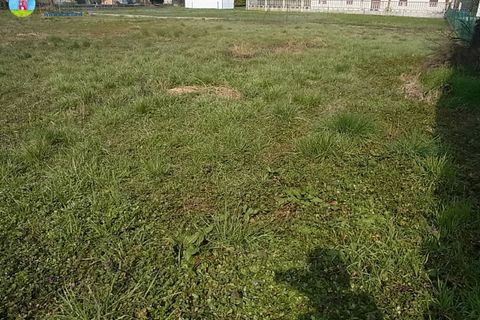 Terra a Carbonera, Treviso, Carbonera - € 70.000 | Ref: 581 - foto 4