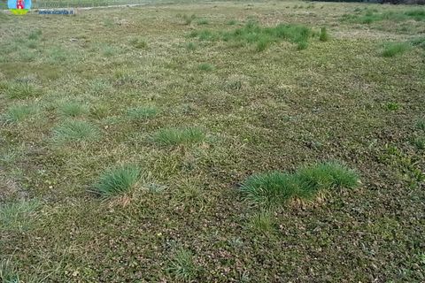 Terra a Carbonera, Treviso, Carbonera - € 70.000 | Ref: 581 - foto 10