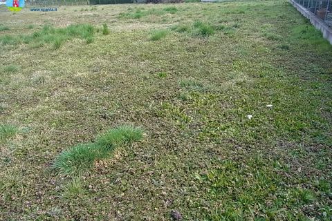 Terra a Carbonera, Treviso, Carbonera - € 70.000 | Ref: 581 - foto 11